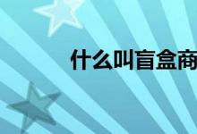 什么叫盲盒商品（什么叫盲审）