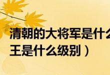 清朝的大将军是什么级别的官员（清朝大将军王是什么级别）