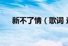 新不了情（歌词 这首歌的资料是什么）