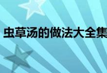 虫草汤的做法大全集（虫草汤的做法南振军）