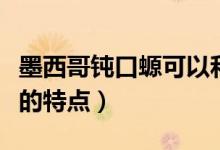 墨西哥钝口螈可以和鱼共养吗（墨西哥钝口螈的特点）