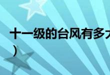 十一级的台风有多大（十一级台风是什么概念）