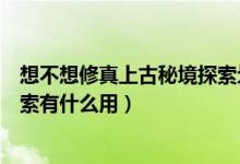 想不想修真上古秘境探索划不划算（想不想修真上古宗门探索有什么用）