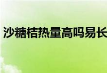 沙糖桔热量高吗易长胖吗（沙糖桔热量高吗）