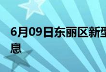 6月09日东丽区新型冠状病毒肺炎疫情最新消息