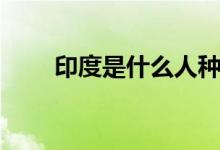 印度是什么人种（印度是什么人种）