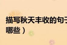 描写秋天丰收的句子（关于秋天丰收的句子有哪些）