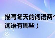 描写冬天的词语两个字（描写冬天的两个字的词语有哪些）