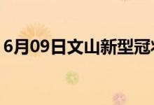 6月09日文山新型冠状病毒肺炎疫情最新消息