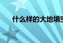 什么样的大地填空题（什么样的大地）