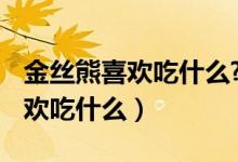 金丝熊喜欢吃什么?（金丝熊吃什么 金丝熊喜欢吃什么）