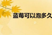 蓝莓可以泡多久（蓝莓可以泡酒吗）