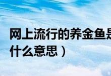 网上流行的养金鱼是什么意思（网络养金鱼是什么意思）