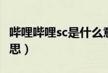 哔哩哔哩sc是什么意思（哔哩哔哩sc是什么意思）