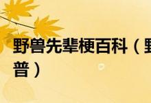 野兽先辈梗百科（野兽先辈是什么梗求完整科普）