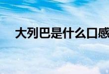 大列巴是什么口感（大列巴是什么东西）