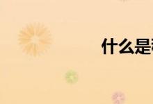 什么是稳健性检验