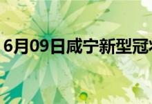 6月09日咸宁新型冠状病毒肺炎疫情最新消息