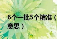 6个一批5个精准（六个精准五个一批是什么意思）