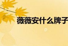 薇薇安什么牌子（薇薇安什么意思）