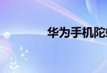 华为手机陀螺仪在设置哪里