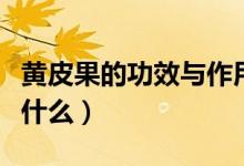 黄皮果的功效与作用（黄皮果的功效与作用是什么）