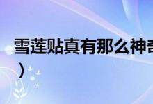 雪莲贴真有那么神奇（雪莲贴真有那么神奇吗）