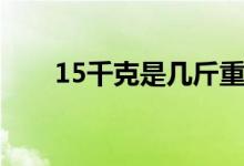 15千克是几斤重（15千克是多少斤）