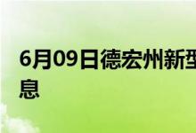 6月09日德宏州新型冠状病毒肺炎疫情最新消息