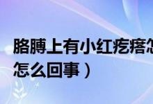 胳膊上有小红疙瘩怎么办（胳膊上有小红疙瘩怎么回事）