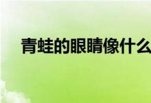 青蛙的眼睛像什么（青蛙的脚印像什么）