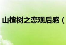 山楂树之恋观后感（看山楂树之恋有感范文）