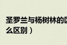 圣罗兰与杨树林的区别（杨树林跟圣罗兰有什么区别）
