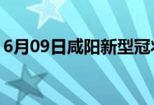 6月09日咸阳新型冠状病毒肺炎疫情最新消息