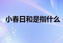 小春日和是指什么（小春日和是什么意思）
