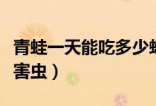 青蛙一天能吃多少蚊子（青蛙一天能吃多少只害虫）