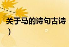 关于马的诗句古诗（关于马的诗句古诗有哪些）