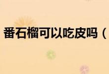 番石榴可以吃皮吗（番石榴的皮能直接吃吗）