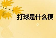 打球是什么梗（打球是什么意思）