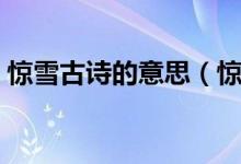 惊雪古诗的意思（惊雪这个词语是什么意思）
