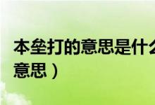 本垒打的意思是什么（安打和本垒打各是什么意思）