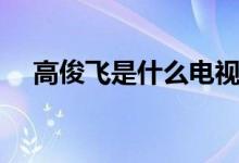 高俊飞是什么电视剧（讲述了什么故事）