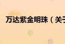 万达紫金明珠（关于万达紫金明珠的介绍）