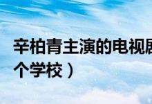 辛柏青主演的电视剧有哪些（辛柏青毕业于哪个学校）