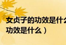 女贞子的功效是什么有什么副作用(女贞子的功效是什么)