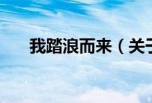 我踏浪而来（关于我踏浪而来的介绍）