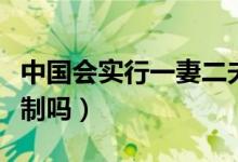 中国会实行一妻二夫吗（中国会实现一妻二夫制吗）