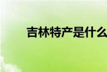 吉林特产是什么（关于吉林的特色）