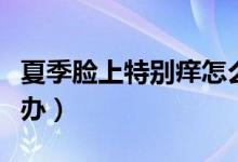 夏季脸上特别痒怎么解决（夏天脸上很痒怎么办）