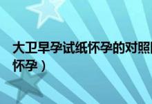 大卫早孕试纸怀孕的对照图(大卫早早孕试纸怎么看有没有怀孕)